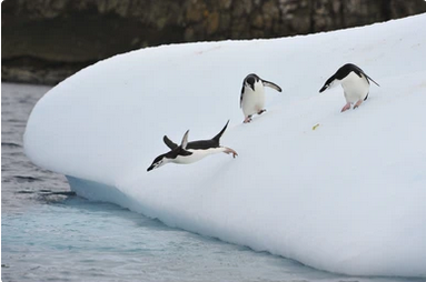 Chill Out, Dude! The Icy Delights of Cold Showers - It's Freezing, But So Fun!